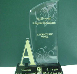 Awarded as A Grade Company (Year 2007)