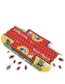 HoyHoy Cockroach Trap DEIPMHO